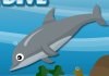 Dolphin Dive