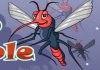 Mosquito Trouble Webcam