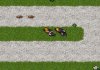 Tibia Tower Defense 2
